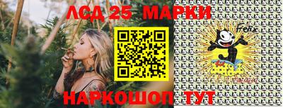 Альфа ПВП Ставрополь