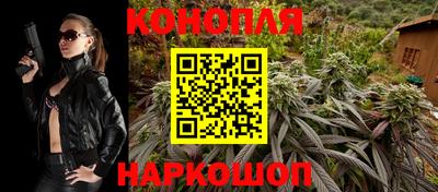 Альфа ПВП Ставрополь
