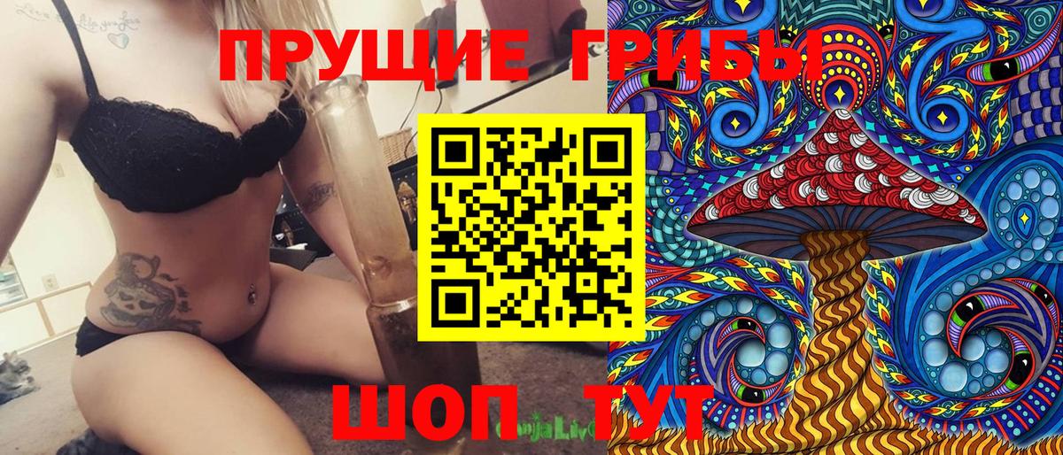 Галлюциногенные грибы Cubensis  Псилоцибиновые грибы Psilocybine cubensis  Ангарск  Вход с VPN 
