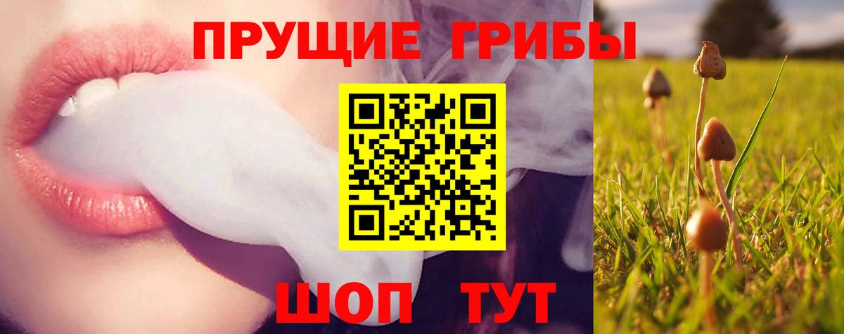 Псилоцибиновые грибы Magic Shrooms Ангарск